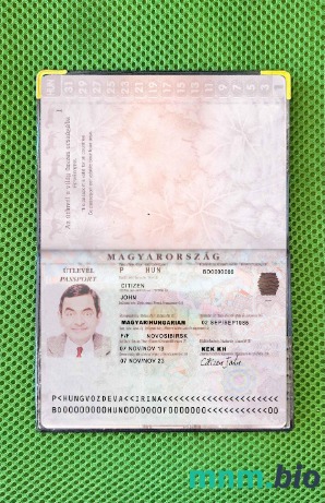 Węgry paszport wersja 2 wygląd zdjęcia pliki PSD, skan i fotografowany obraz
